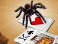 Spēle Lekt spider  online