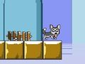 Spēle Jump Hasky kungs online Spēle Jump Hasky kungs online
