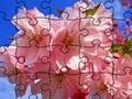 Spēle Finierzāģis puzzle: ziedi  online