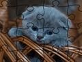 Spēle Finierzāģis puzzle: kaķi  online