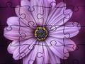 Spēle Finierzāģis puzzle vasara  online