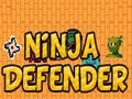 Spēle Nindzju aizstāvis  online