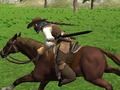 Spēle Zirgu izjādes simulators  online