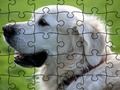 Spēle Jigsaw Puzzle Mājas dzīvnieki  online