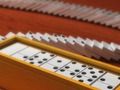 Spēle Domino daudzspēlētājs online