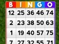 Spēle Bingo online Spēle Bingo online