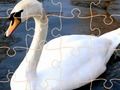 Spēle Swan mīklu izaicinājums online