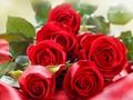 Spēle Sarkanās rozes  online