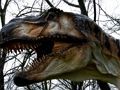 Spēle T-Rex dinozauru finierzāģis  online