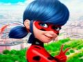 Spēle Jigsaw Puzzle kolekcija LadyBug  online