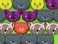 Spēle Pop-pop kitties online