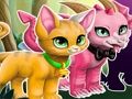 Spēle Burvju Pet Maker  online