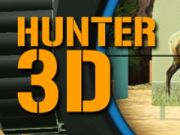Spēle Mednieks 3D  online