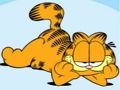 Spēle Garfield finierzāģu mīklu kolekcija  online