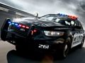 Spēle Policijas automašīnu krāsošana  online