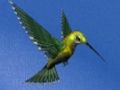 Spēle Kolibri mājas aizbēgšana  online