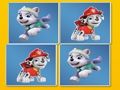 Spēle PAW patruļas atmiņa sakrīt online
