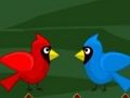 Spēle Toco toucan bēgšana online