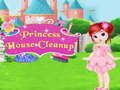 Spēle Princešu mājas sakopšana  online
