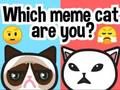 Spēle Kurš mēmu kaķis tu esi?  online