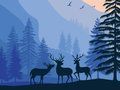 Spēle Ainavu paradīze slēptā  online
