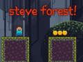 Spēle Stīvs Forests  online