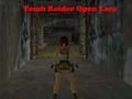 Spēle Tomb Raider Open Lara online