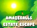 Spēle Amazbols Estate Escape online