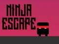 Spēle Nindzju bēgšana  online