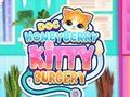 Spēle Doc HoneyBerry Kitijas ķirurģija  online