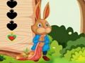 Spēle Vāveres bēgšana  online