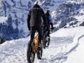 Spēle Kalnu velosipēdu finierzāģis  online