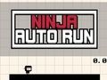 Spēle Ninja Auto Run online