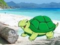 Spēle Pludmales krabju pāra bēgšana  online