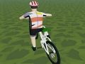 Spēle Braukšana ar ekstrēmu 3D online