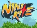 Spēle Nindzjas pūķis  online
