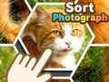 Spēle Kārtot fotoattēlu  online