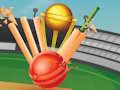 Spēle T20 krikets online Spēle T20 krikets online