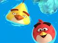 Spēle Krāsojamā grāmata: Angry Birds  online