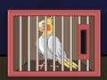 Spēle Atlaidiet The Cockatiel Bird  online