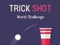 Spēle Trick Shot World Challenge online