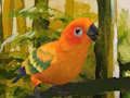 Spēle Jauka budgie puzzle  online