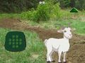 Spēle Kaza Atrodi Bērnu  online