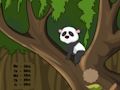 Spēle Pandas džungļu bēgšana  online