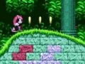 Spēle Varens un Rejs Sonic 2 online
