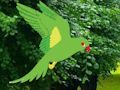 Spēle Papagailis Atrodi ligzdu  online