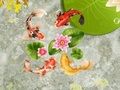 Spēle Koi zivju dīķis  online