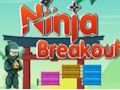 Spēle Nindzju izlaušanās  online