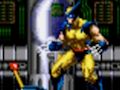Spēle Wolverine - Adamantium Rage online