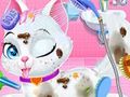 Spēle Dzīvnieku mazuļu mājdzīvnieku veterinārā aprūpe online Spēle Dzīvnieku mazuļu mājdzīvnieku veterinārā aprūpe online